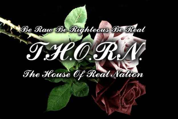 thorn marketing logo gold swoosh thorn gold swoosh marketing